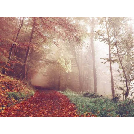 Lightweight Silk Coat fr-FR